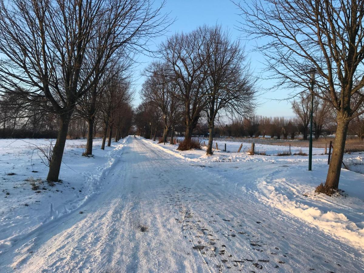 Dat-Klinkerhus Glowe Buitenkant foto
